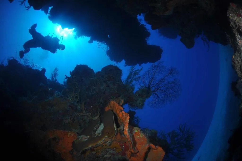 Bohio Dive Resort Cockburn Town 3*,  Islas Turks y Caicos